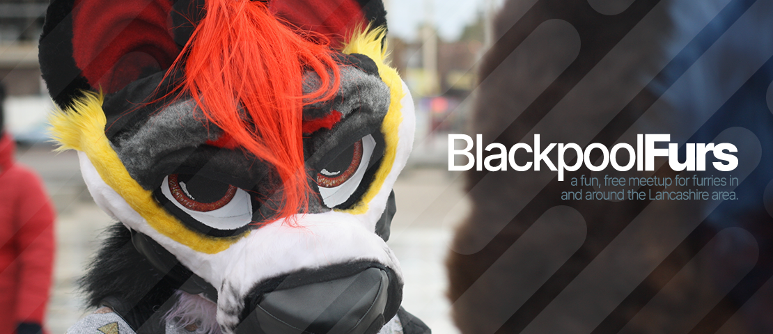 An image as part of a banner.